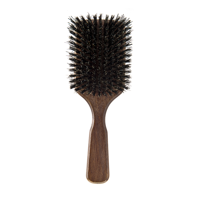Brosse en Bois 229_GUENZANI